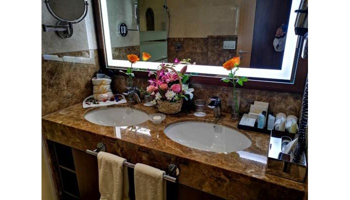 Hotel Golden Tulip Media poza 33