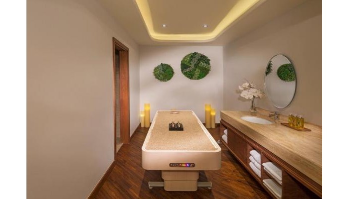 Hotel The Retreat Palm Dubai Mgallery By Sofitel poza 13